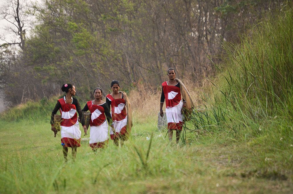 Indigenous to Chitwan, Tharu Women going for fishing in genuine style.